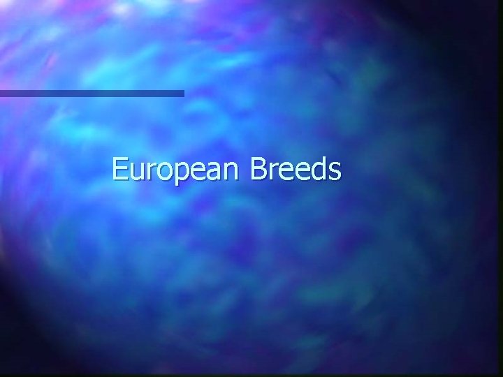 European Breeds 