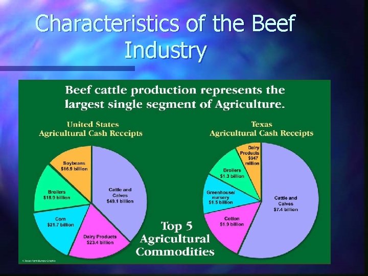 Characteristics of the Beef Industry 