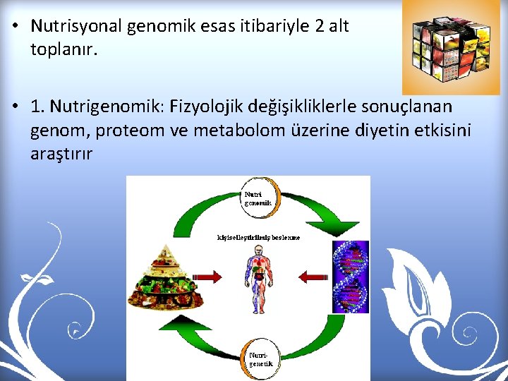  • Nutrisyonal genomik esas itibariyle 2 alt toplanır. başlıkta • 1. Nutrigenomik: Fizyolojik