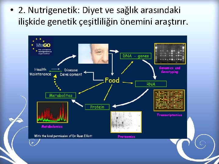  • 2. Nutrigenetik: Diyet ve sağlık arasındaki ilişkide genetik çeşitliliğin önemini araştırır. 