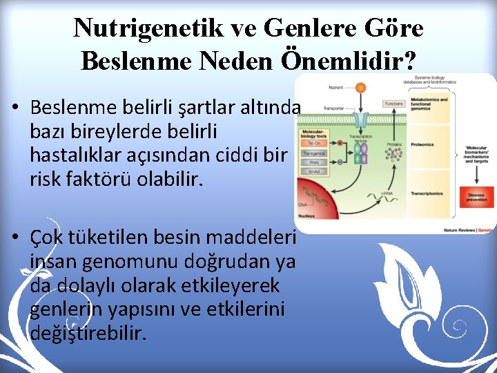 Nutrigenetik ve Genlere Göre Beslenme Neden Önemlidir? • Beslenme belirli şartlar altında bazı bireylerde