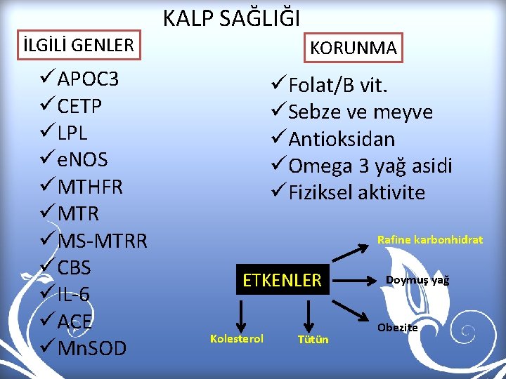 İLGİLİ GENLER üAPOC 3 üCETP üLPL üe. NOS üMTHFR üMTR üMS-MTRR üCBS üIL-6 üACE