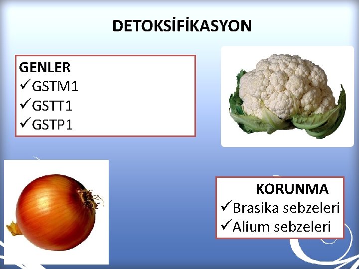 DETOKSİFİKASYON GENLER üGSTM 1 üGSTT 1 üGSTP 1 KORUNMA üBrasika sebzeleri üAlium sebzeleri 