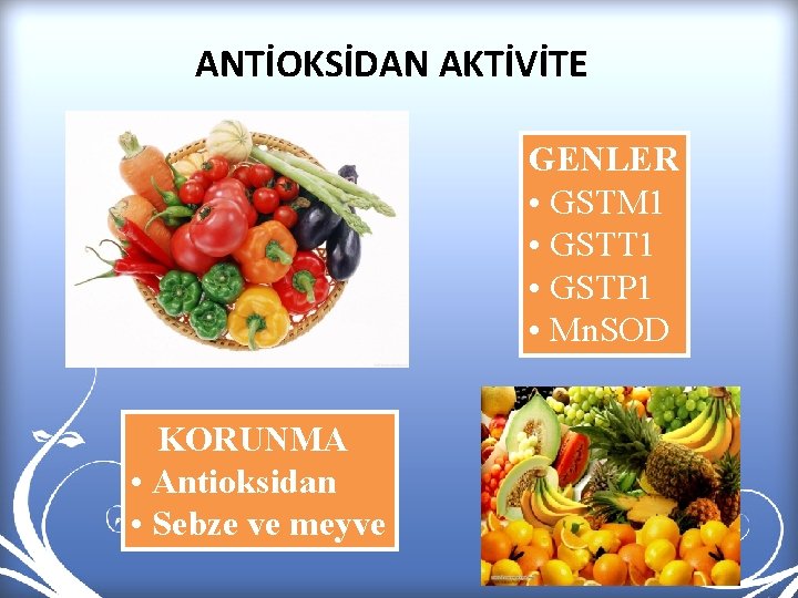 ANTİOKSİDAN AKTİVİTE GENLER • GSTM 1 • GSTT 1 • GSTP 1 • Mn.