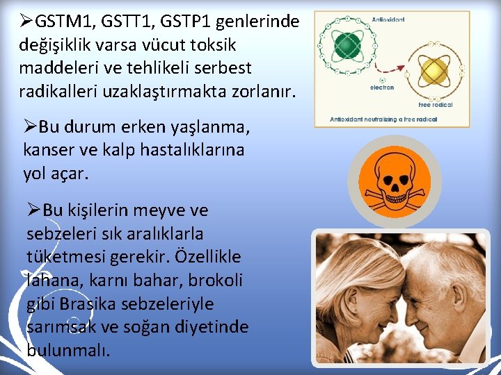 ØGSTM 1, GSTT 1, GSTP 1 genlerinde değişiklik varsa vücut toksik maddeleri ve tehlikeli