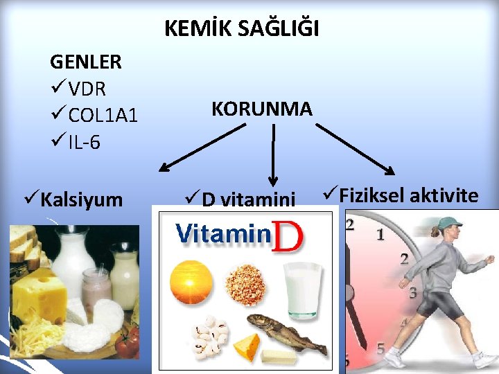 KEMİK SAĞLIĞI GENLER üVDR üCOL 1 A 1 üIL-6 üKalsiyum KORUNMA üD vitamini üFiziksel