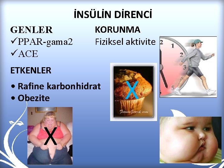 İNSÜLİN DİRENCİ GENLER üPPAR-gama 2 üACE KORUNMA Fiziksel aktivite ETKENLER • Rafine karbonhidrat •