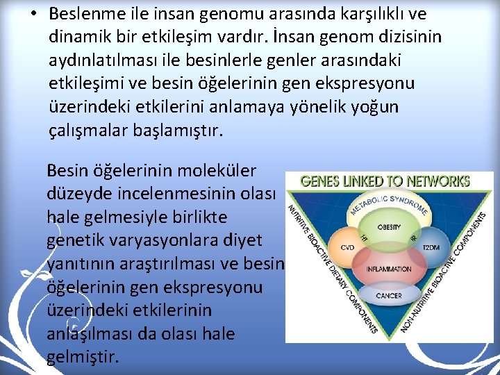  • Beslenme ile insan genomu arasında karşılıklı ve dinamik bir etkileşim vardır. İnsan