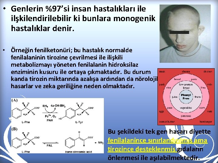  • Genlerin %97’si insan hastalıkları ile ilşkilendirilebilir ki bunlara monogenik hastalıklar denir. •