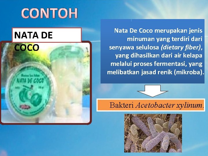 CONTOH NATA DE COCO Nata De Coco merupakan jenis minuman yang terdiri dari senyawa