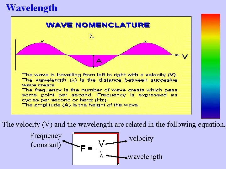 Wavelength The velocity (V) and the wavelength are related in the following equation, Frequency