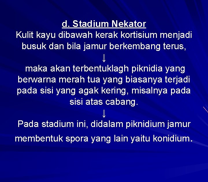 d. Stadium Nekator Kulit kayu dibawah kerak kortisium menjadi busuk dan bila jamur berkembang