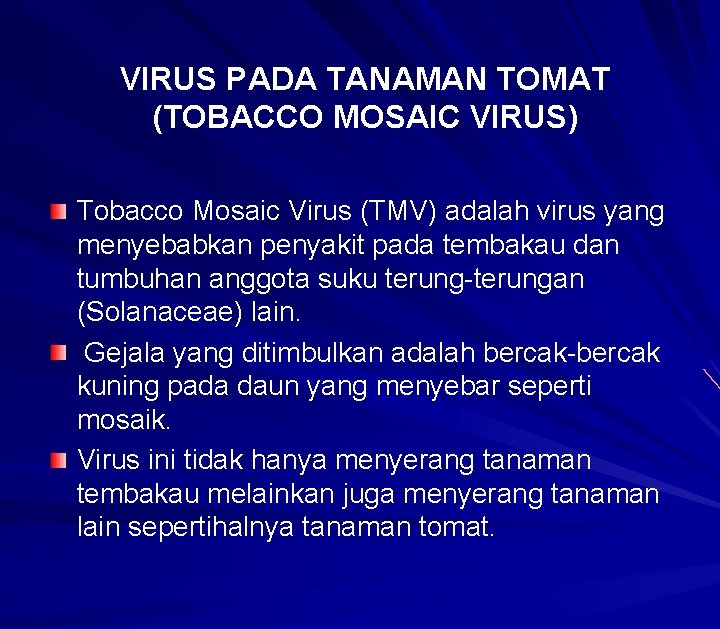 VIRUS PADA TANAMAN TOMAT (TOBACCO MOSAIC VIRUS) Tobacco Mosaic Virus (TMV) adalah virus yang