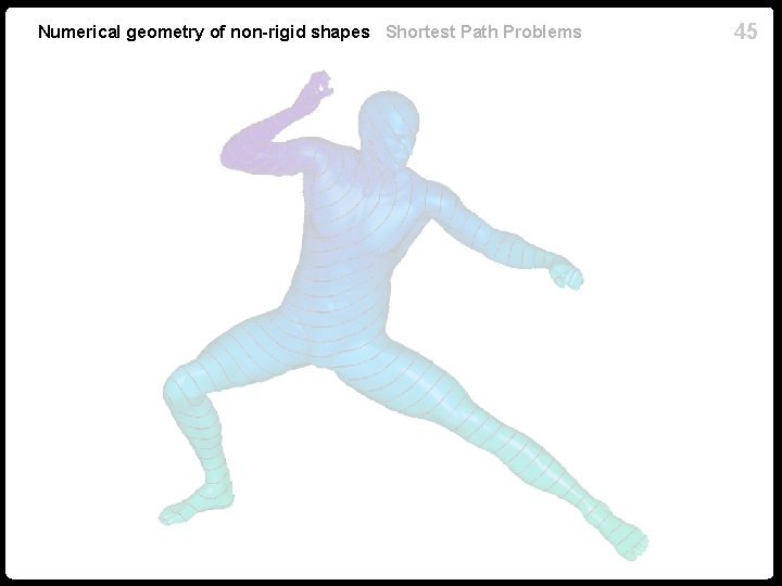 Numerical geometry of non-rigid shapes Shortest Path Problems 45 