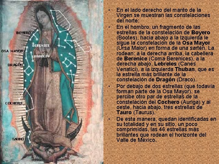  • • En el lado derecho del manto de la Virgen se muestran