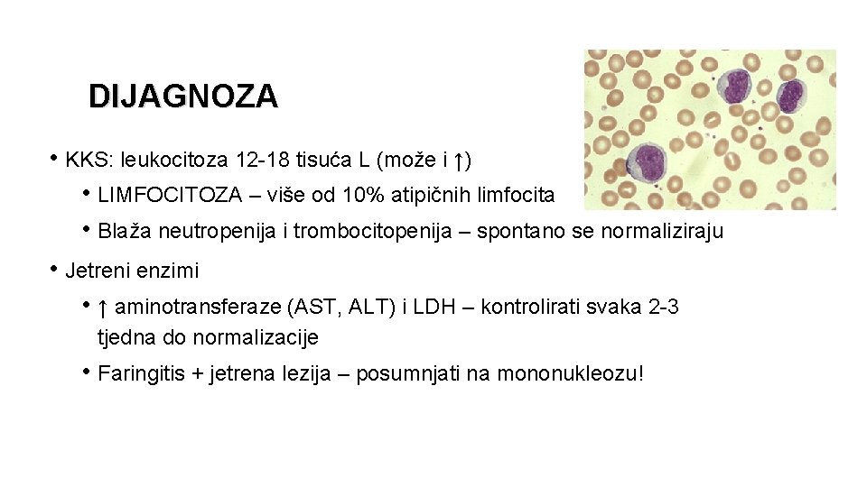 DIJAGNOZA • KKS: leukocitoza 12 -18 tisuća L (može i ↑) • LIMFOCITOZA –