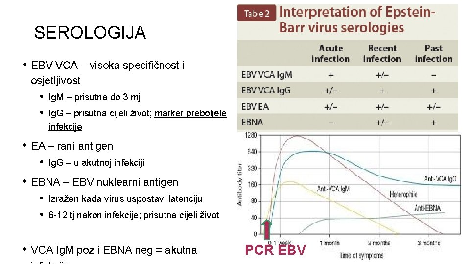 SEROLOGIJA • EBV VCA – visoka specifičnost i osjetljivost • • Ig. M –