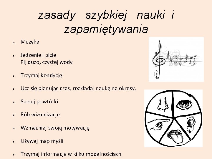 zasady szybkiej nauki i zapamiętywania Muzyka Jedzenie i picie Pij dużo, czystej wody Trzymaj