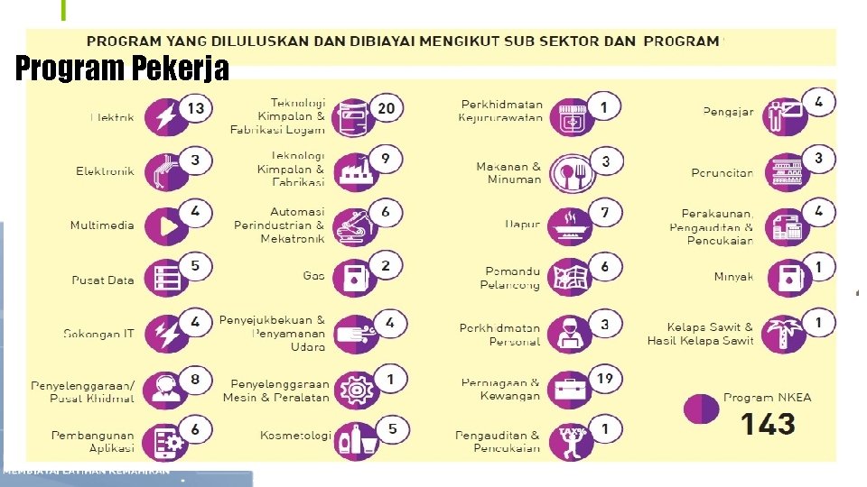 Program Pekerja 