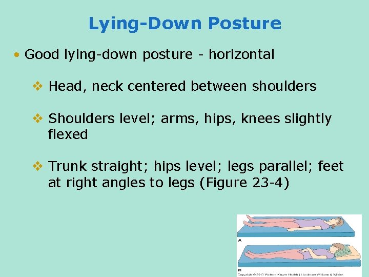 Lying-Down Posture • Good lying-down posture - horizontal v Head, neck centered between shoulders