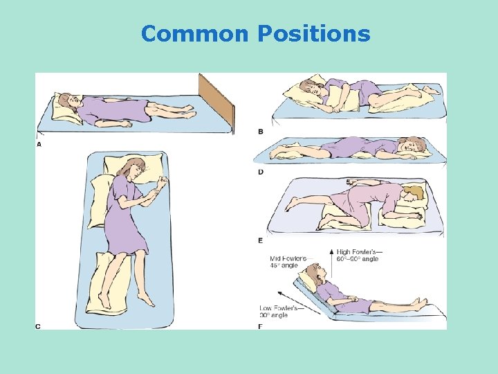 Common Positions 