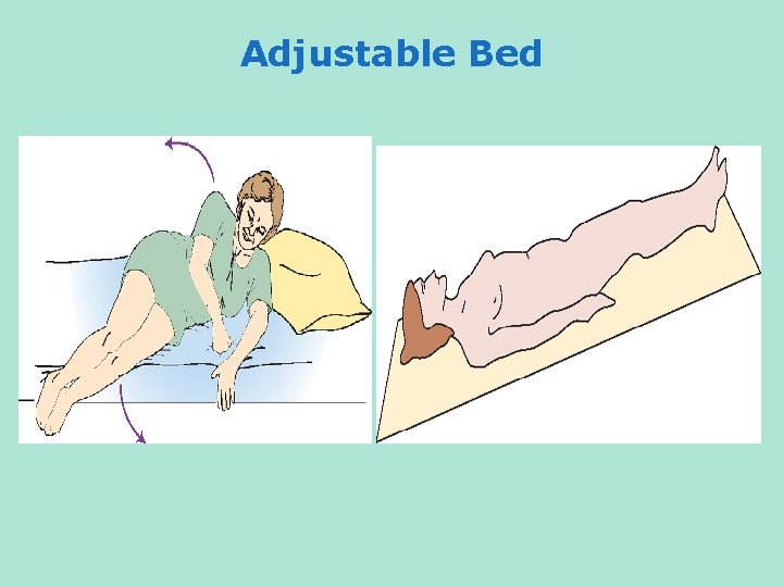 Adjustable Bed 
