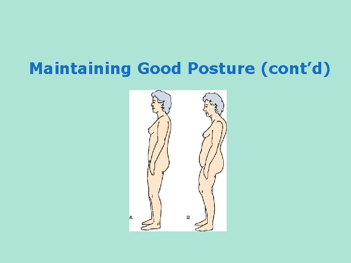 Maintaining Good Posture (cont’d) 