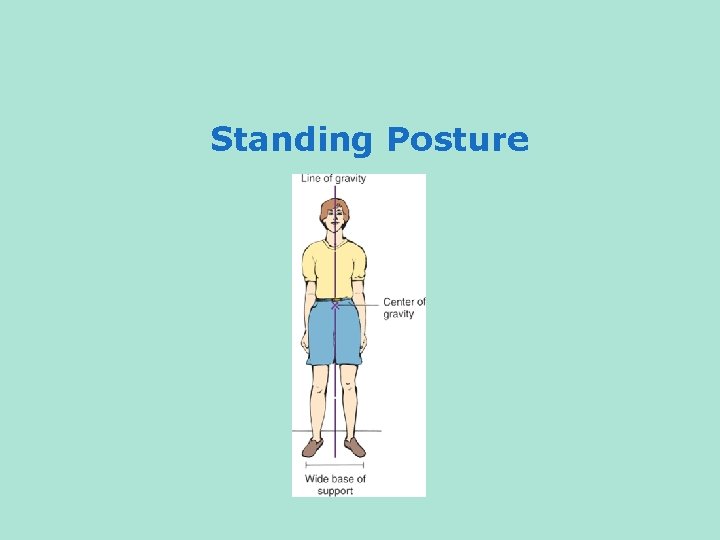 Standing Posture 