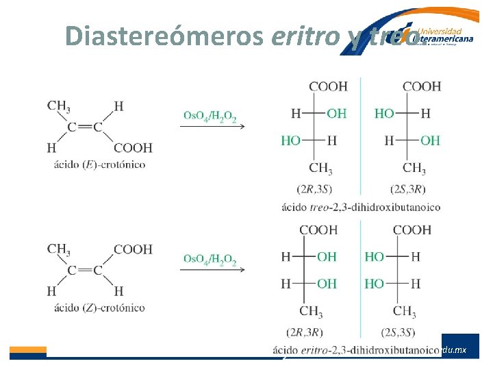 Diastereómeros eritro y treo. www. lainter. edu. mx 