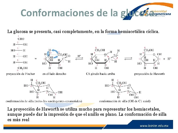 Conformaciones de la glucosa. La glucosa se presenta, casi completamente, en la forma hemiacetálica