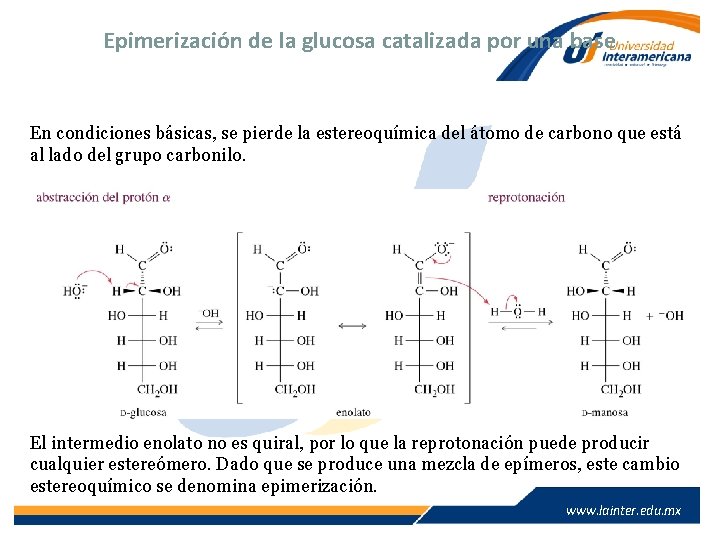 Epimerización de la glucosa catalizada por una base En condiciones básicas, se pierde la