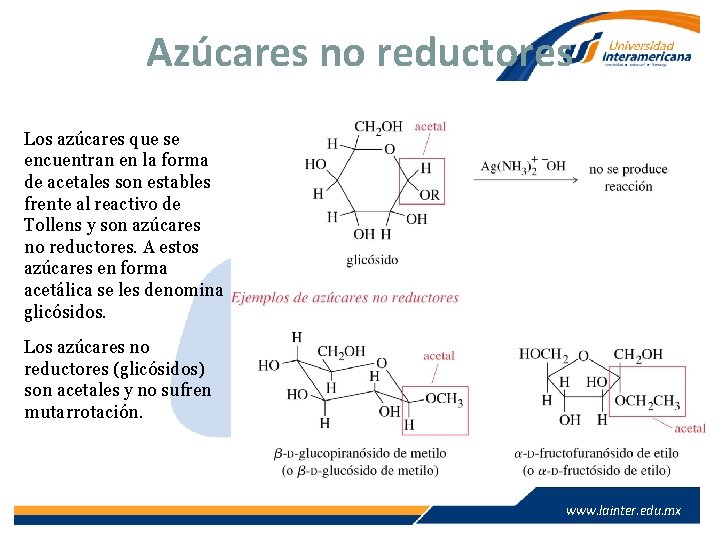 Azúcares no reductores Los azúcares que se encuentran en la forma de acetales son