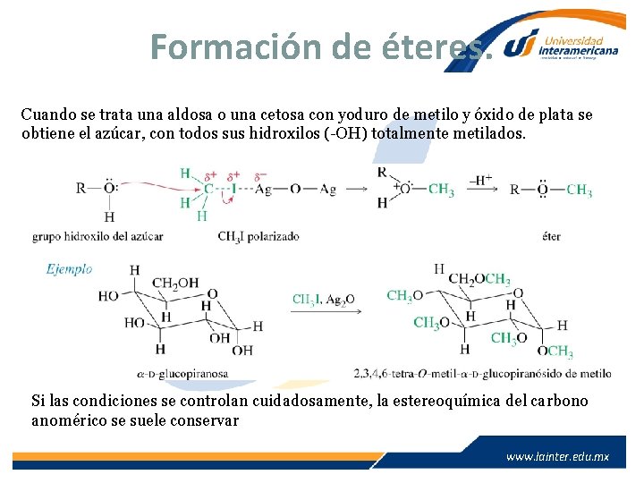 Formación de éteres. Cuando se trata una aldosa o una cetosa con yoduro de