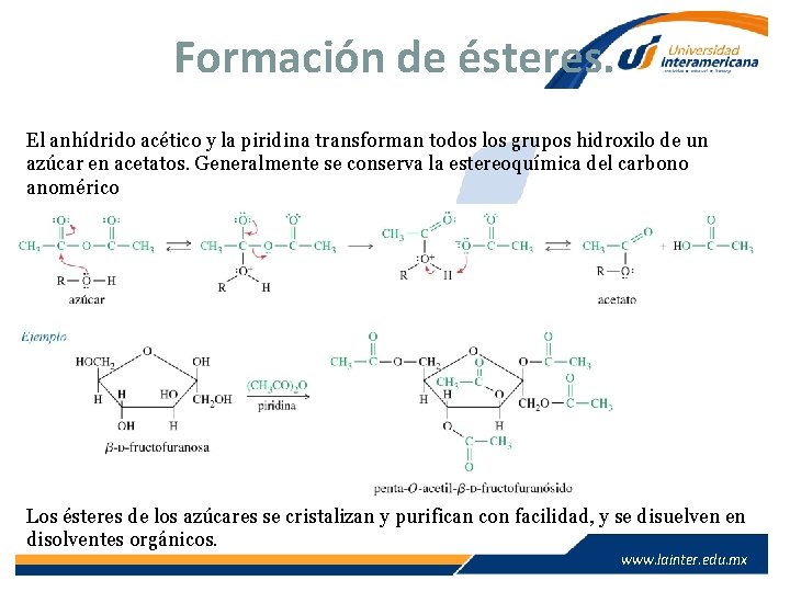 Formación de ésteres. El anhídrido acético y la piridina transforman todos los grupos hidroxilo