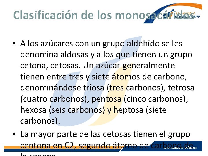 Clasificación de los monosacáridos • A los azúcares con un grupo aldehído se les