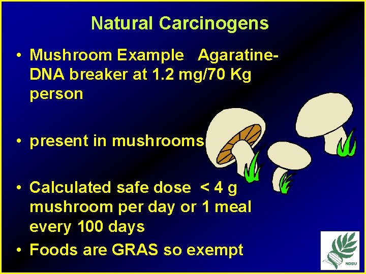 Natural Carcinogens • Mushroom Example Agaratine. DNA breaker at 1. 2 mg/70 Kg person