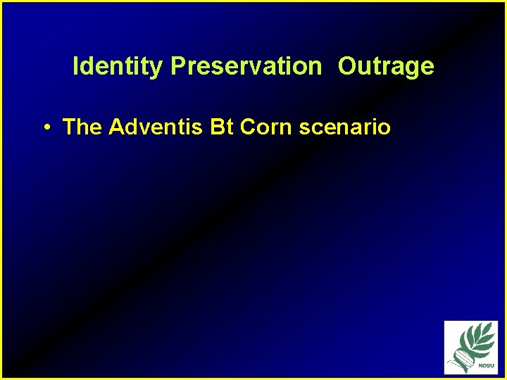 Identity Preservation Outrage • The Adventis Bt Corn scenario 