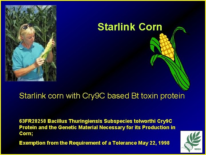 Starlink Corn Starlink corn with Cry 9 C based Bt toxin protein 63 FR