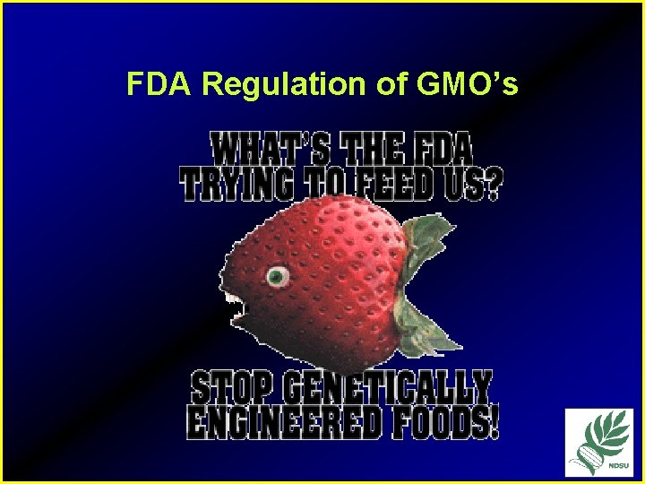 FDA Regulation of GMO’s 