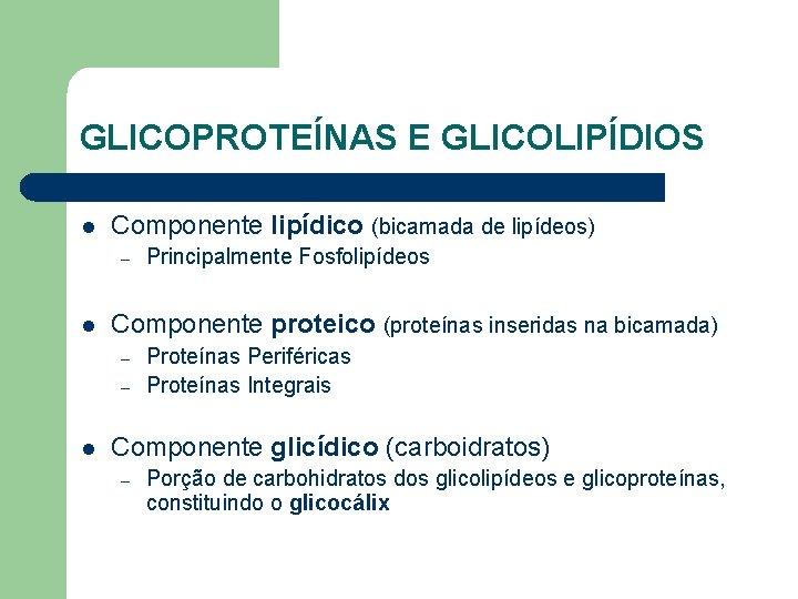 GLICOPROTEÍNAS E GLICOLIPÍDIOS l Componente lipídico (bicamada de lipídeos) – l Componente proteico (proteínas