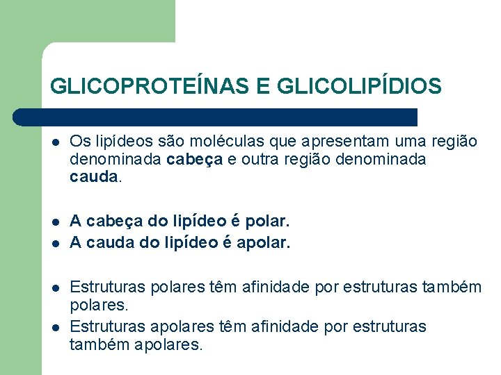 GLICOPROTEÍNAS E GLICOLIPÍDIOS l Os lipídeos são moléculas que apresentam uma região denominada cabeça
