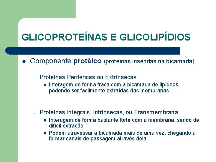 GLICOPROTEÍNAS E GLICOLIPÍDIOS l Componente protéico (proteínas inseridas na bicamada) – Proteínas Periféricas ou