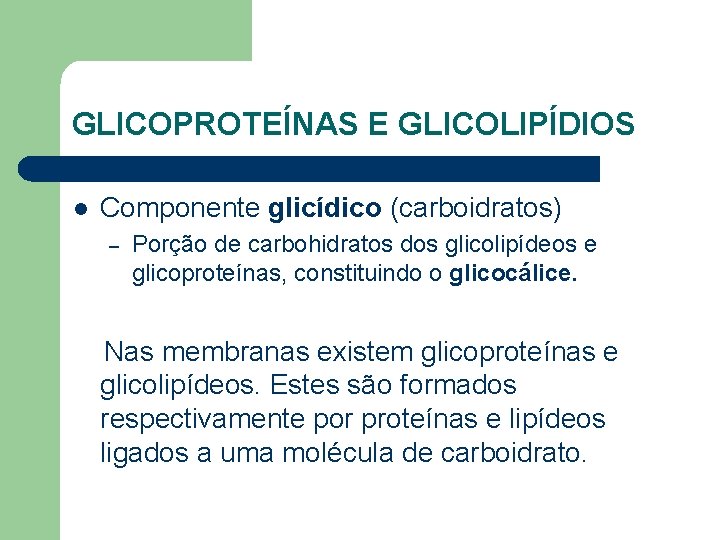 GLICOPROTEÍNAS E GLICOLIPÍDIOS l Componente glicídico (carboidratos) – Porção de carbohidratos dos glicolipídeos e