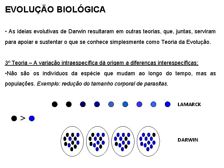 EVOLUÇÃO BIOLÓGICA • As ideias evolutivas de Darwin resultaram em outras teorias, que, juntas,