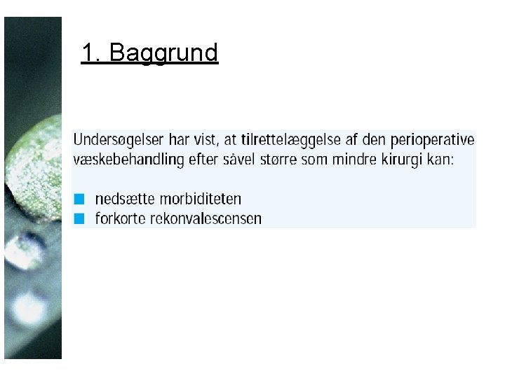 1. Baggrund 