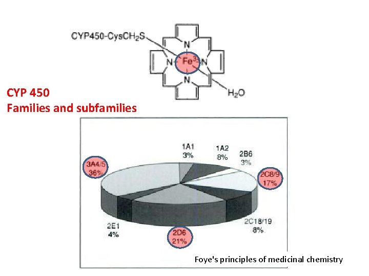 CYP 450 Families and subfamilies Foye's principles of medicinal chemistry 