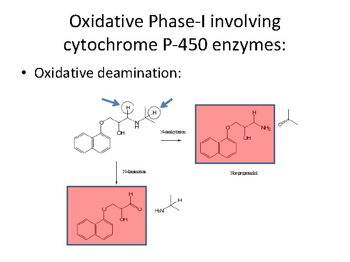 Oxidative Phase-I involving cytochrome P-450 enzymes: • Oxidative deamination: 