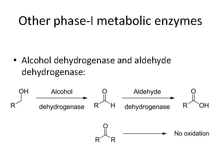Other phase-I metabolic enzymes • Alcohol dehydrogenase and aldehyde dehydrogenase: 