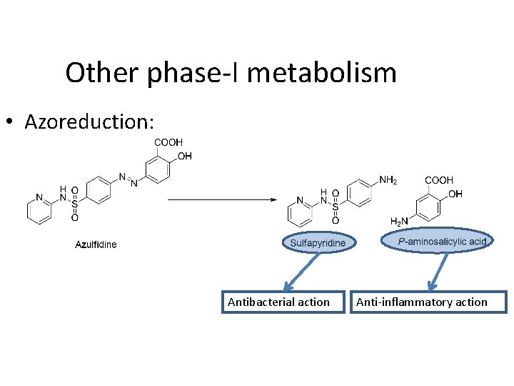 Other phase-I metabolism • Azoreduction: Antibacterial action Anti-inflammatory action 