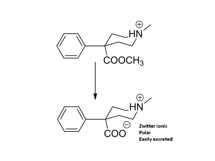Zwitter ionic Polar Easily excreted 